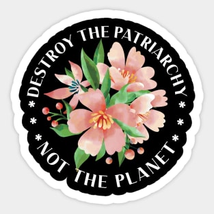 Feminism Destroy Patriarchy Not The Planet Statement Sticker